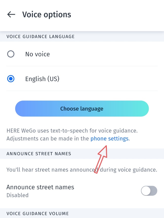 HERE WeGo voice 1